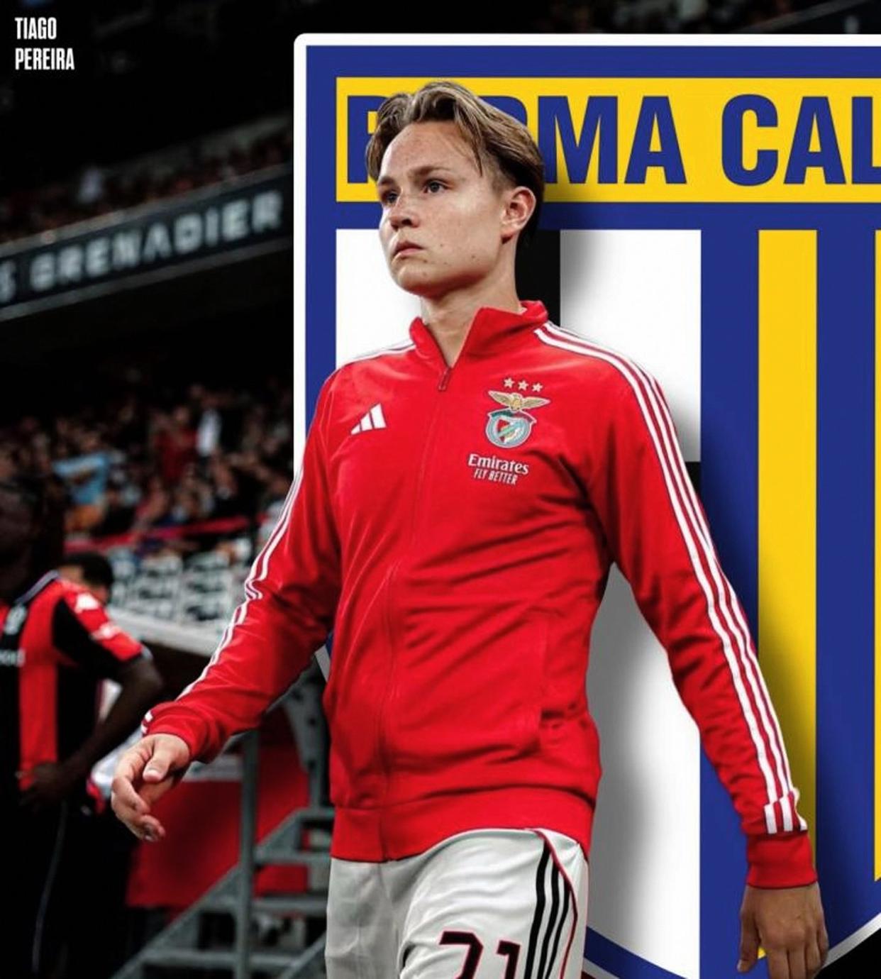 意甲赛后再迎强敌;本菲卡临场应变;主帅态度:底气十足;球探报告显示潜力的简单介绍 意甲赛后再迎强敌;本菲卡临场应变;主帅态度:底气十足;球探报告显示潜力的简单介绍